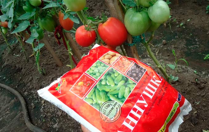 Подкормка помидоров питательными веществами